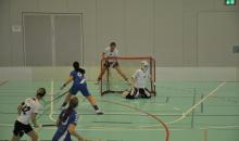 Den Ball halten: Sybille Tanner hinter dem Tor