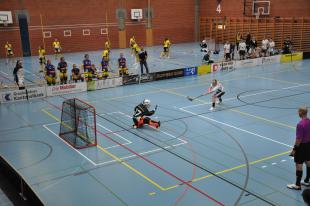 Timmel verwertet den Penalty