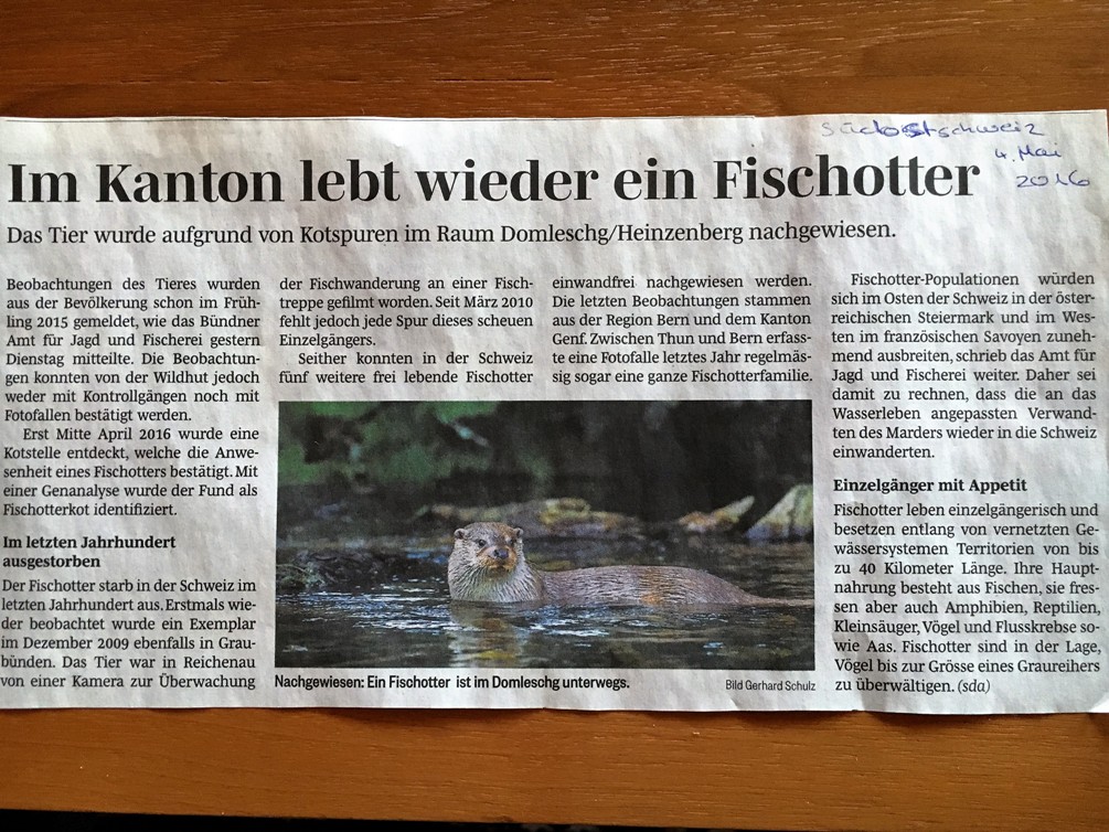 Artikel Südostschweiz